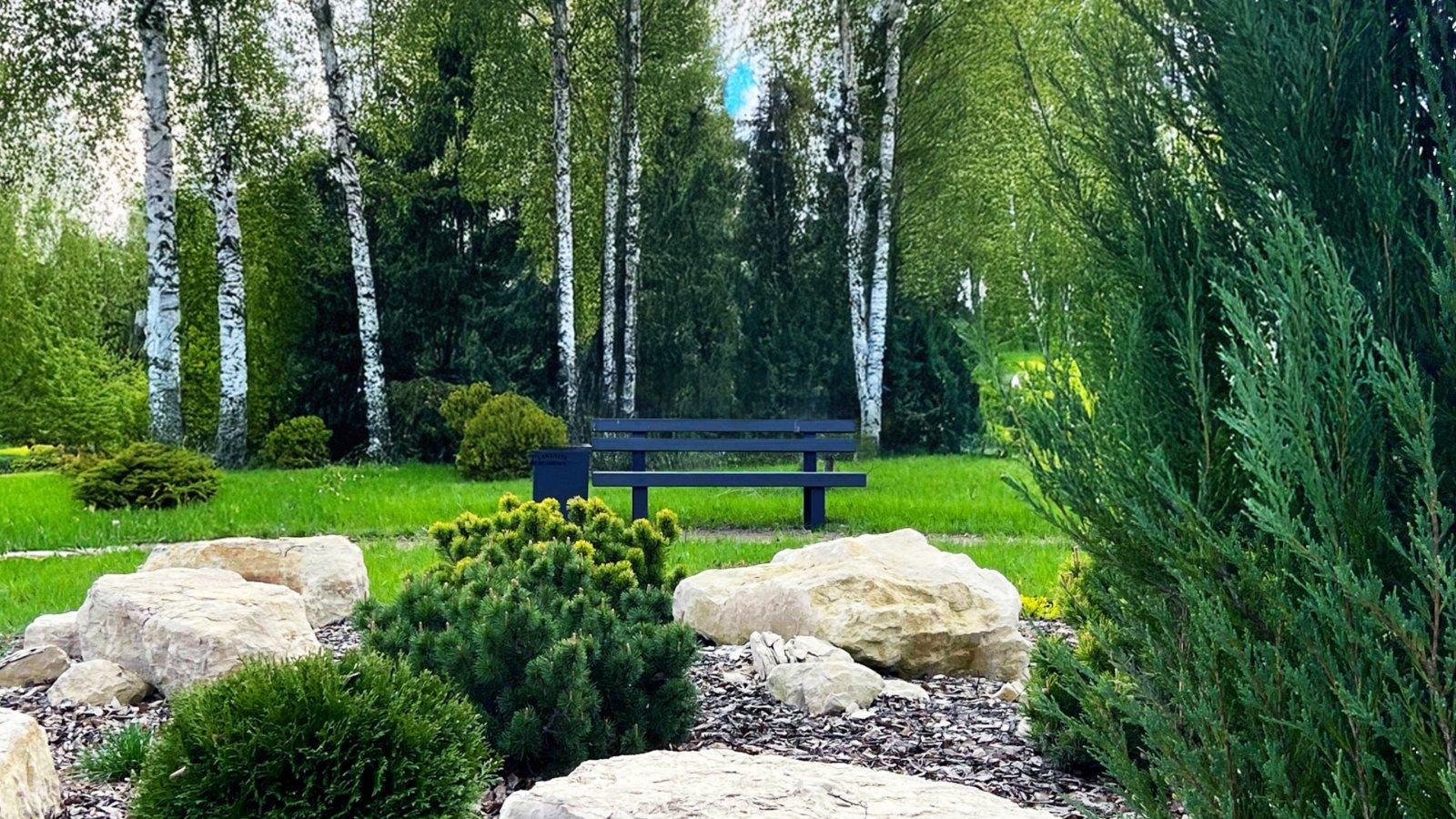 Вековой лиственный лес Lakeside: берёзы и сосны сохранены по всей территории, а не три дерева у въезда