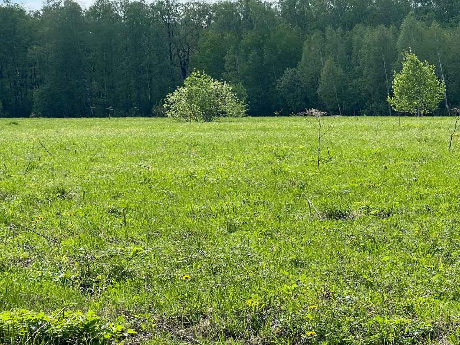 Участок №36, 13 соток, КП Лейксайд Резиденс, М-4